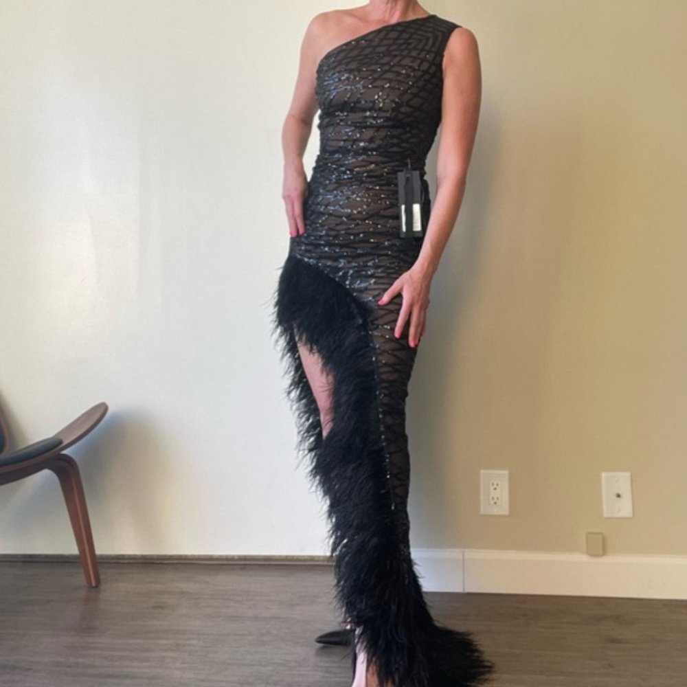 Bronx and Banco Feather Dress Lola NEW $1,300 Sz 4 - Picture 2 of 4
